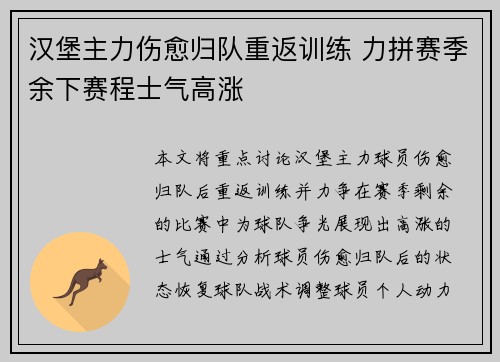 汉堡主力伤愈归队重返训练 力拼赛季余下赛程士气高涨