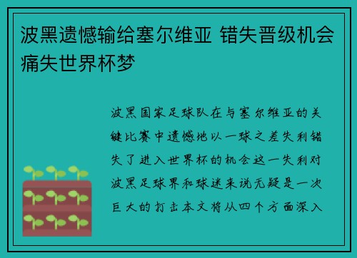 波黑遗憾输给塞尔维亚 错失晋级机会痛失世界杯梦